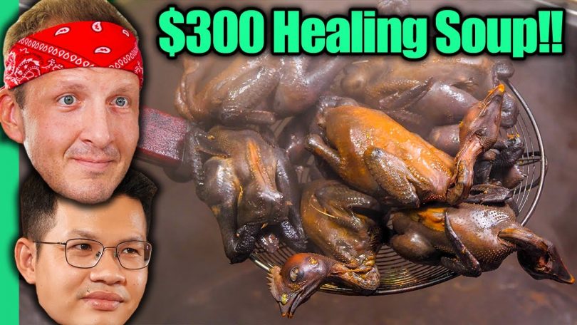 $5 Healing Soup VS $300 Healing Soup!! Rare Traditional Foods of Asia!!