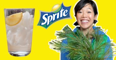 How To Make Sprite From PINE NEEDLES | Pine Needle Soda